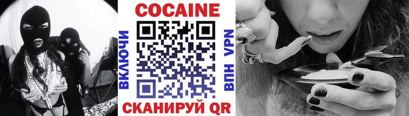 купить закладку  Майкоп  МЕГА   Cocaine Fish Scale 