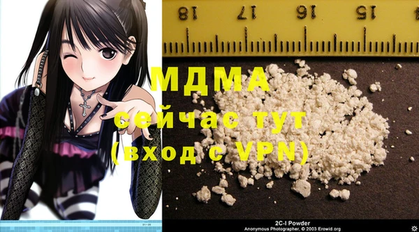 хмурый Алексин