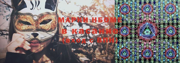 хмурый Алексин