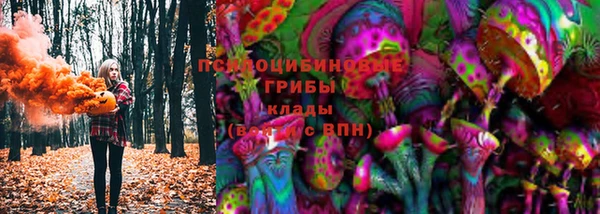 хмурый Алексин
