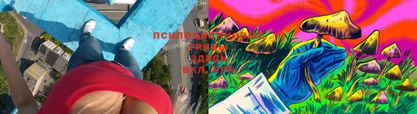 хмурый Алексин