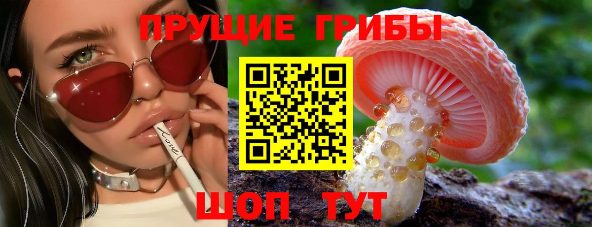 Галлюциногенные грибы MAGIC MUSHROOMS Майкоп