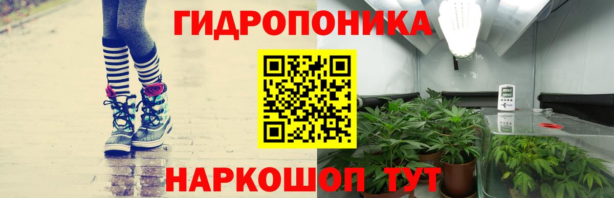 Конопля White Widow Майкоп